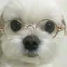 Somora的个人资料图片