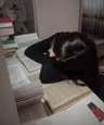 Jellie的个人资料图片