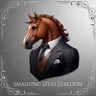 S.S.Stallion的个人资料图片